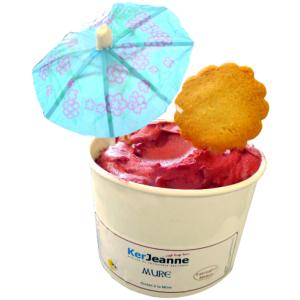 Pot de glace<br>Mûre de Bretagne.