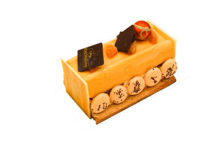 Bûche Passionnément abricot 